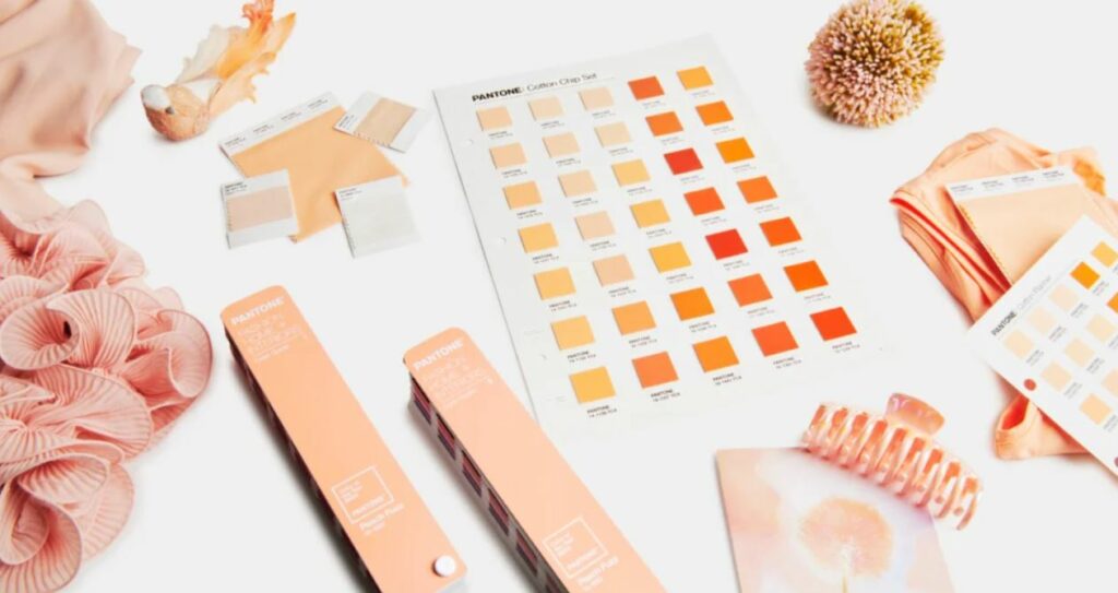 Pantone Cor do Ano 2024: Peach Fuzz