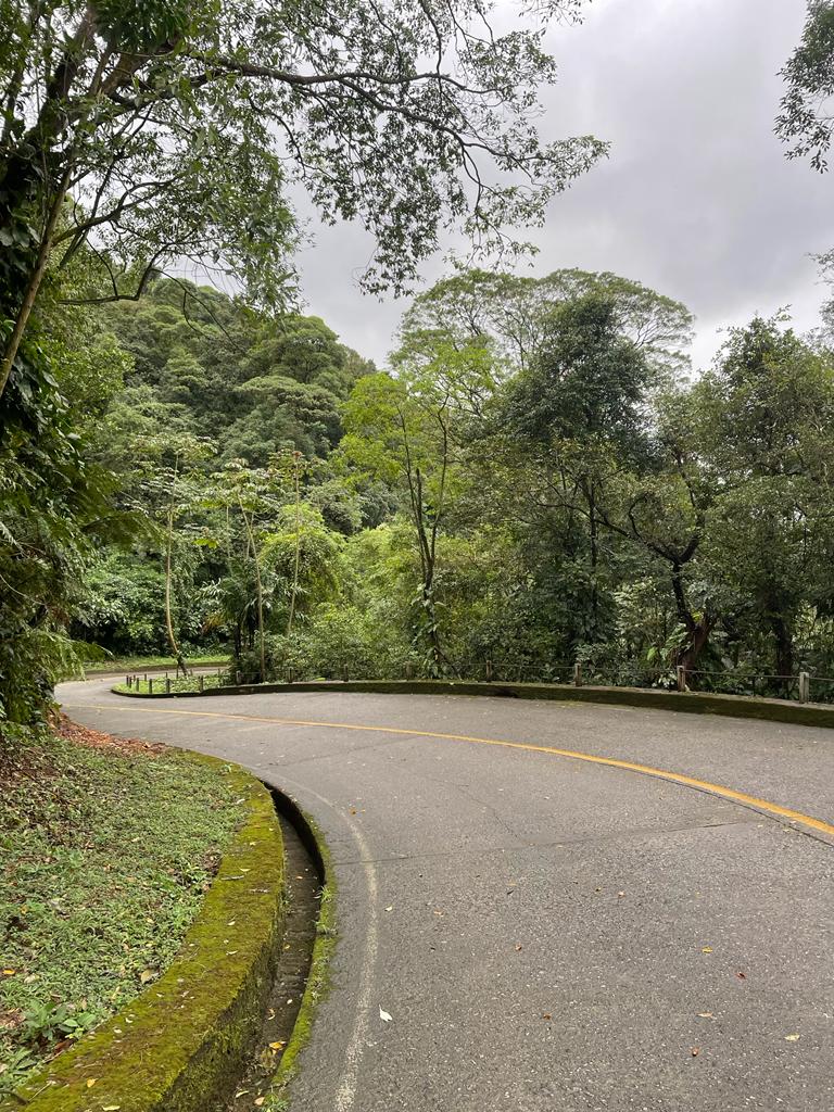 Trilha Estrada Velha de Santos Com Chuva e Neblina